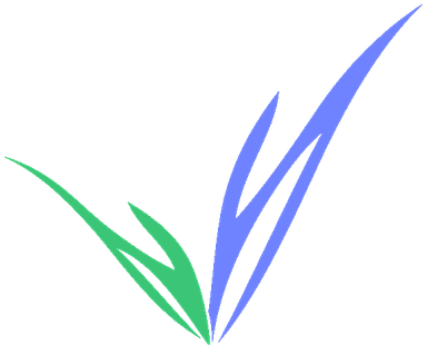 EVR Vet Options Corporation