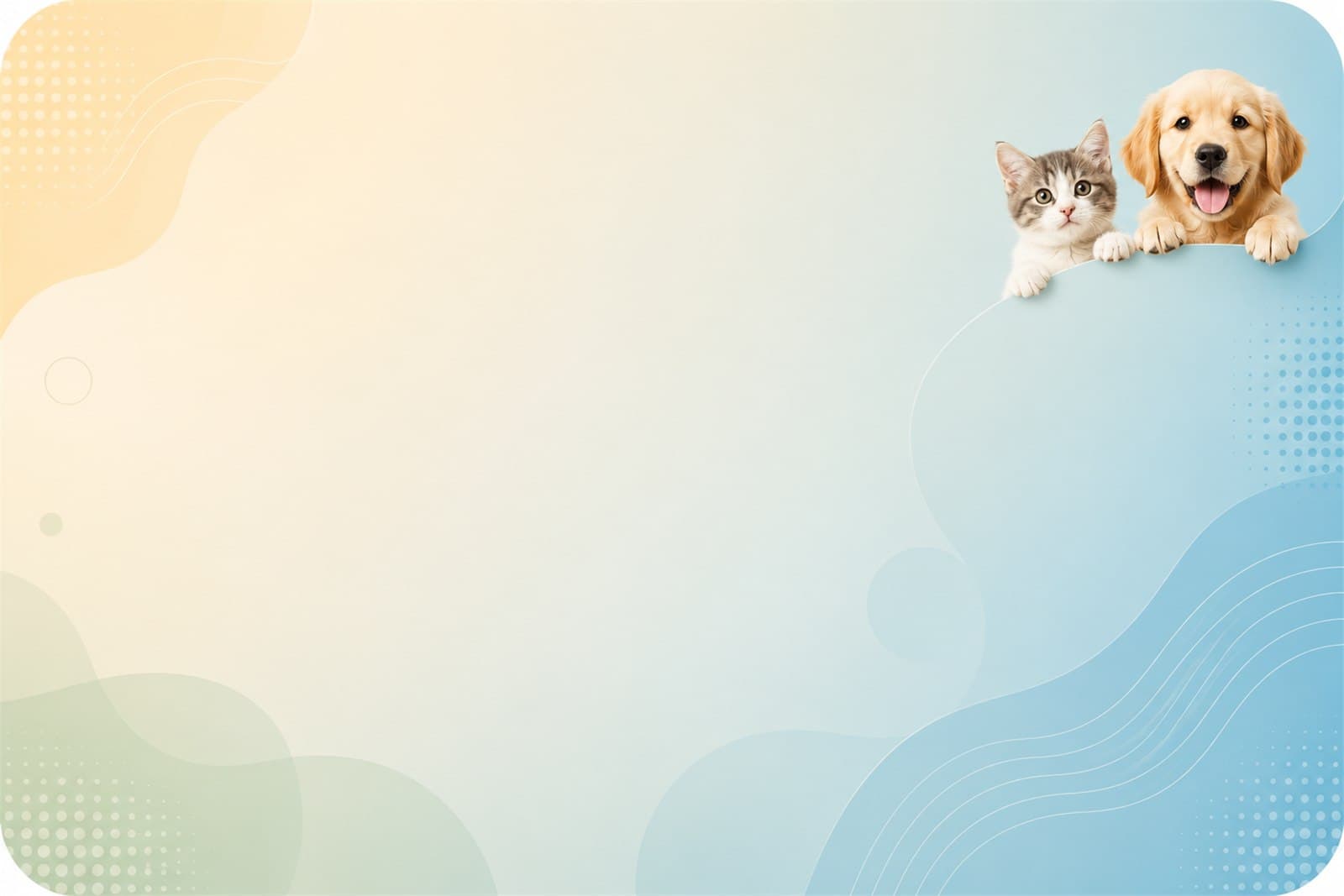 Dogs and cats representing animal health care
